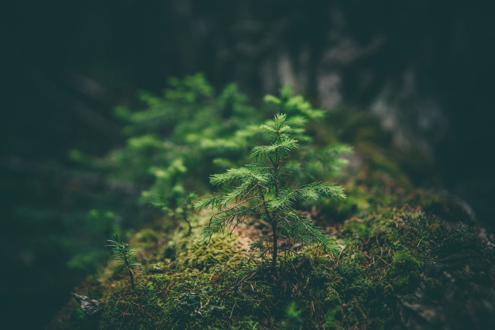Children's Program - October | How Nature Becomes Our Classroom